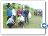 Tree Plantation 10
